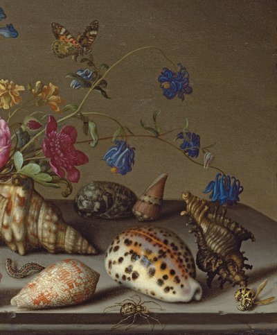 Blumen, Muscheln und Insekten auf einem Steinsims von Balthasar van der Ast