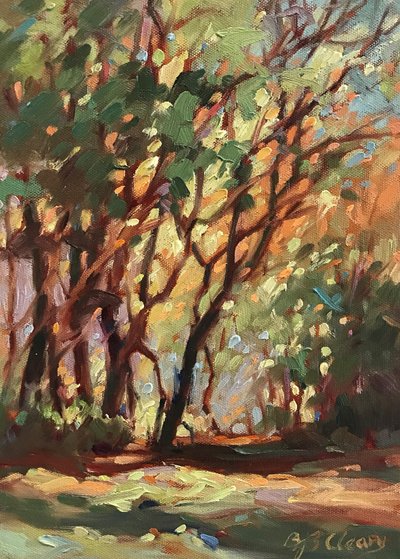 Schattenweg von Barbara Cleary