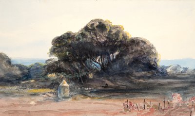 Landschaft: Kiefer und kleiner Turm von Barbara Leigh Smith Bodichon