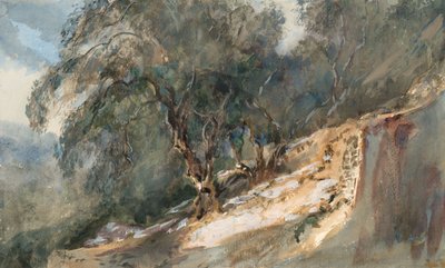 Landschaft: Bäume mit knorrigen Stämmen von Barbara Leigh Smith Bodichon