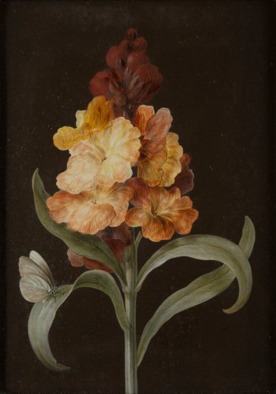 Vier Stillleben mit Schmetterlingen von Barbara Regina Dietzsch