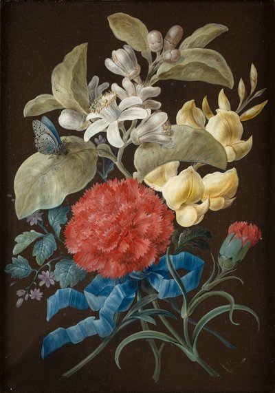 Satz von vier Stillleben mit Schmetterlingen von Barbara Regina Dietzsch
