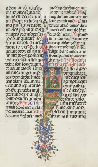 Missale: Fol. 131: Heiliger Lukas mit Stier, 1469 von Bartolomeo Caporali