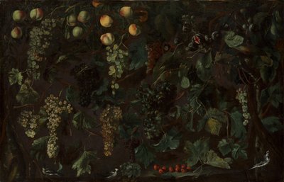 Weinreben und Früchte, mit drei Bachstelzen von Bartolomeo Cavarozzi