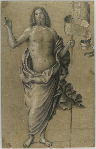 Der auferstandene Christus von Bartolomeo Montagna