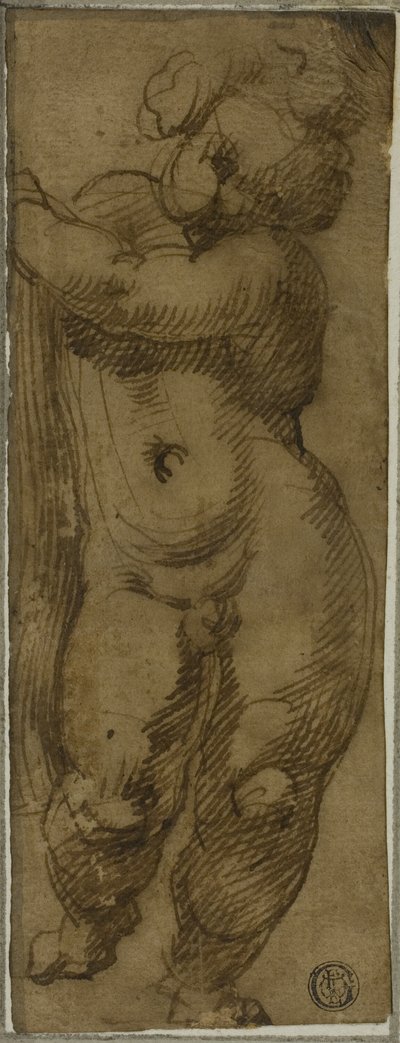 Stehender Putto von vorne gesehen: Studie für die Jungfrau in Herrlichkeit mit den Heiligen Petronius, Dominikus und Petrus Martyr von Bartolomeo Passarotti