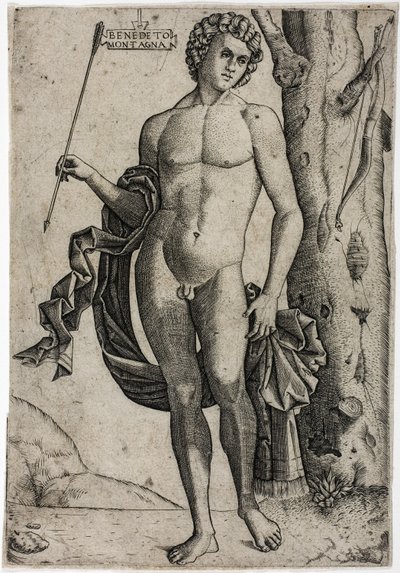 Ein junger Mann mit einem Pfeil von Benedetto Montagna