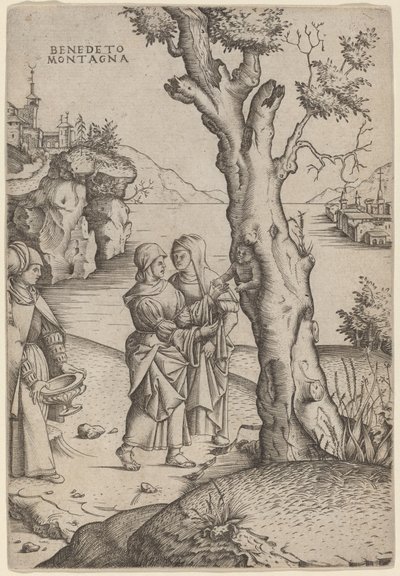 Die Geburt des Adonis von Benedetto Montagna