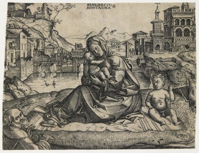 Die Heilige Familie mit dem kleinen Heiligen Johannes in einer Landschaft, ca. 1506-1512 von Benedetto Montagna