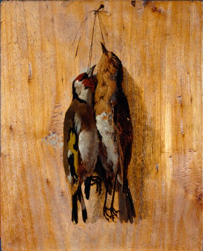 Studie nach der Natur: Zwei tote Vögel an der Wand von Benedetto Musso
