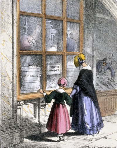 Blutegel und Zahnputzpulver, aus Krustentiere und Reptilien in Grafische Illustrationen von Tieren - Ihre Nützlichkeit für den Menschen während ihres Lebens und ihre Verwendung nach dem Tod, ca. 1845 von Benjamin Waterhouse Hawkins
