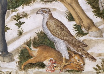 Falke mit gefangenem Kaninchen, Detail aus dem Zyklus der Reise der Heiligen Drei Könige in der Kapelle, ca. 1460 (Detail) von Benozzo di Lese di Sandro Gozzoli