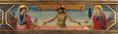 Unbekanntes Bild von Benozzo di Lese di Sandro Gozzoli