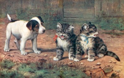 Katzenpostkarte von Bernard Cobbe