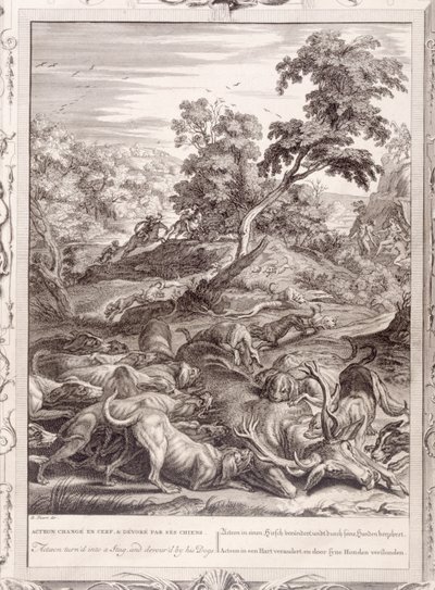 Actaeon wird in einen Hirsch verwandelt und von seinen Hunden verschlungen, 1731 von Bernard Picart