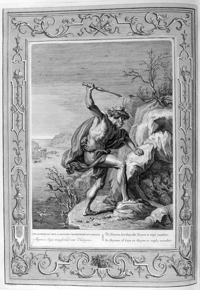 Alkyone und Ceyx verwandelt in Vögel von Bernard Picart
