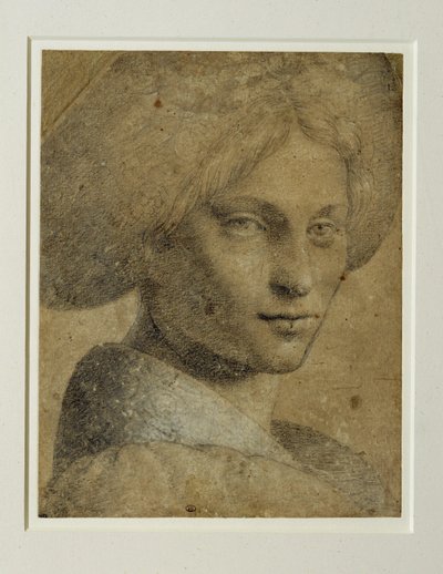 Porträt einer Frau mit Turban, dreiviertel nach rechts von Bernardino (attr. to) Luini