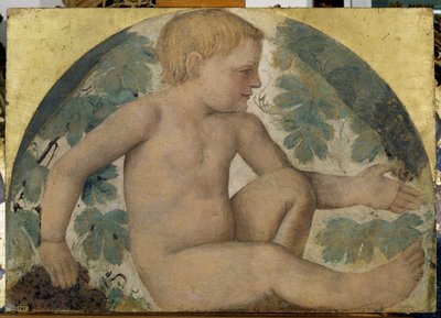 Erntende Putti - Putto unter einer Pergola, um 1514 von Bernardino Luini
