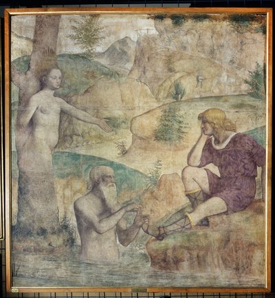 Strenge Konsultation durch Driope und Tavaiano, um 1514 von Bernardino Luini