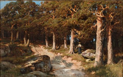 Frau im Wald von Berndt Lindholm