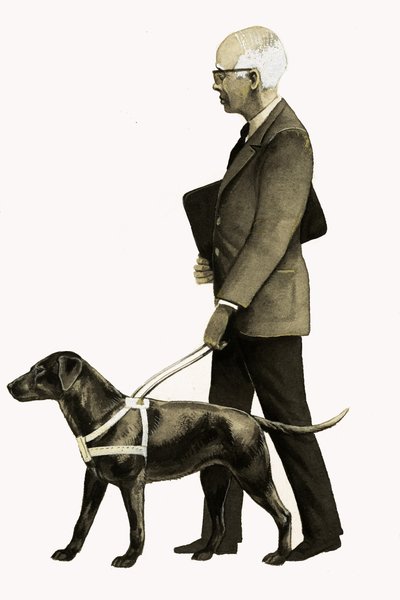Blindenführhund von Bob Hersey