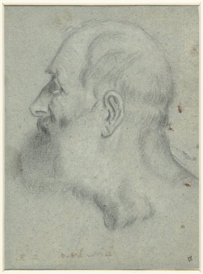 Kopf eines bärtigen Mannes, im Profil nach links von Bonifazio Veronese (attributed to)
