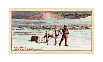 Kapitän L.E.G. Oates trainiert ein sibirisches Pony auf dem Meereis vor Cape Evans von British School