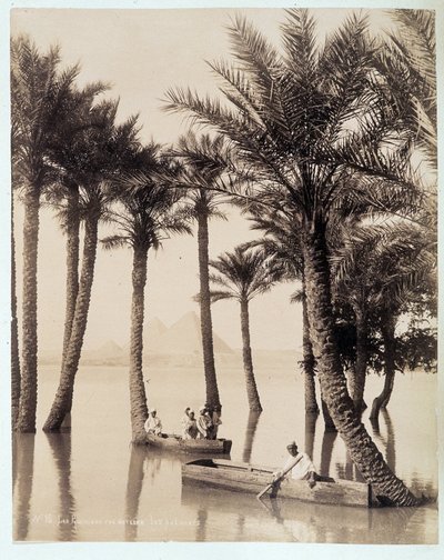 Ein Palmenhain am Fuße der Pyramiden von Ägypten - Fotografie der Gebrüder Zangali, Ende 19. Jahrhundert von Brothers Zangaki