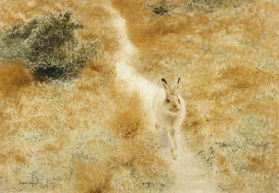 Ein Winterhase in einer Landschaft von Bruno Andreas Liljefors
