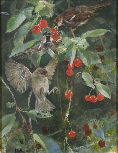 Sperlinge in einem Kirschbaum, 1885 von Bruno Andreas Liljefors