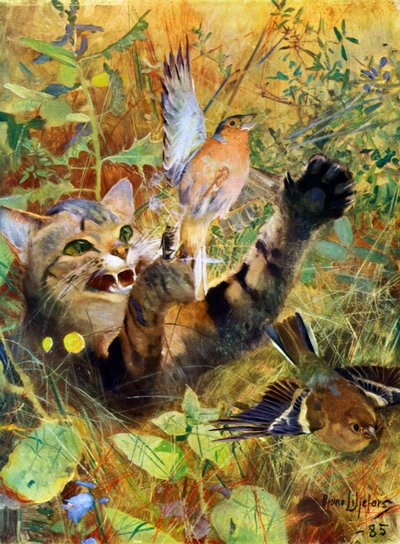 Eine Katze und ein Buchfink von Bruno Andreas Liljefors