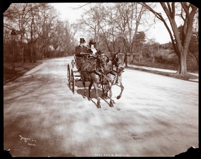 Anna Held und Florenz Ziegfeld fahren in einer Pferdekutsche, New York, 1904 von Byron Company