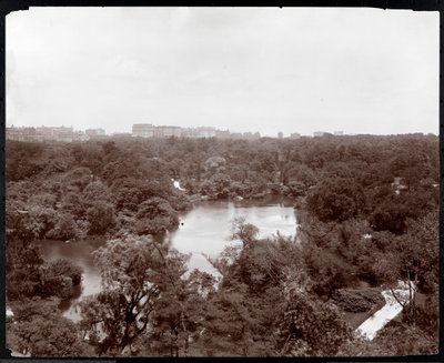 Blick auf den Central Park vom Plaza Hotel, 5th Avenue und 59th Street, New York, 1907 von Byron Company