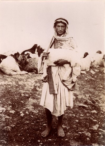 Ein Hirtenjunge trägt ein Lamm, c.1894-1914 von C.A. Hornstein
