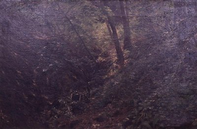 Frühling in einer Schlucht von C.A. Kølle