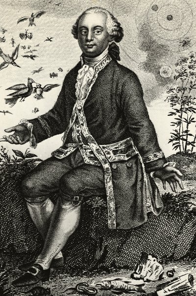 Porträt von Georges-Louis Leclerc de Buffon (1707-1788), französischer Naturforscher und Mathematiker, Gravur von J.B. and Brown J. Rowbotham