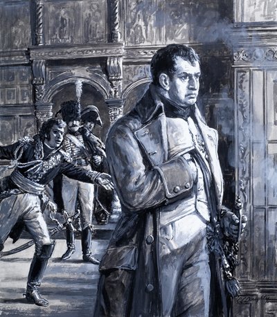 Die Geschichte Frankreichs: Napoleon von C.L. Doughty
