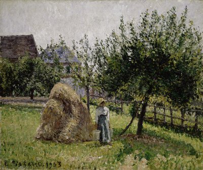 Apfelbäume in Eragny, sonniger Morgen, 1903 von Camille Jacob Pissarro