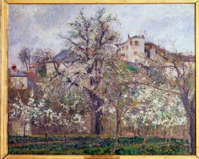 Frühling, Pflaumenblüten in Pontoise von Camille Jacob Pissarro