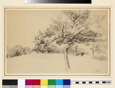 Studie des Obstgartens in Eragny-sur-Epte mit einem Baum im Vordergrund von Camille Jacob Pissarro