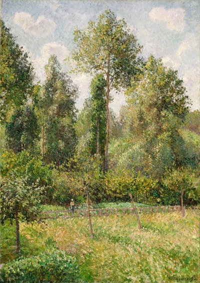 Pappeln, Éragny, 1895 von Camille Jacob Pissarro