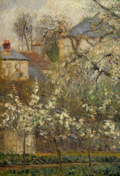 Gemüsegarten und blühende Bäume im Frühling in Pontoise von Camille Jacob Pissarro
