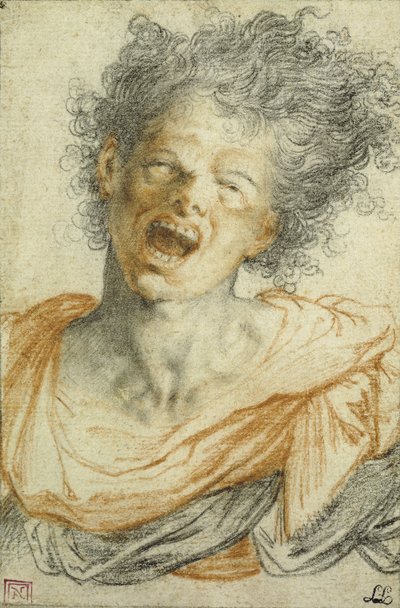Ein junger Mann, der schreit von Camillo Procaccini