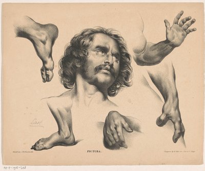Kopf eines Mannes, Füße, Hände und Arme von Carel Christiaan Antony Last