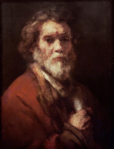 Kopf eines alten Mannes, ca. 1650 von Carel Fabritius