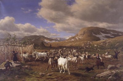 Eine Rentierherde wird zum Melkplatz getrieben. Motiv aus den Hochfjellen nördlich von Røros von Carl Bøgh