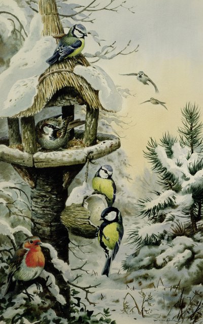 Wintervogeltisch mit Blaumeisen, Kohlmeisen, Haussperlingen und einem Rotkehlchen von Carl Donner