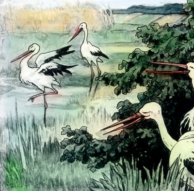 Wilhelm Hauff - Märchen - Kalif Storch, um 1910 von Carl Simon