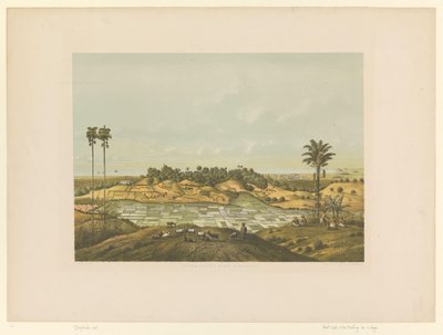 Ansicht einer Landschaft bei Samarang von Carl Wilhelm Mieling (possibly)