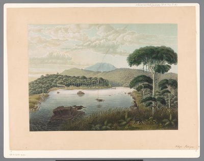 Ansicht des Patenggang-Sees auf Java von Carl Wilhelm Mieling (possibly)